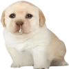 GYHUCTEVSZ_by_stikers_du_ark_bot 14