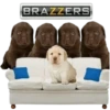 GYHUCTEVSZ_by_stikers_du_ark_bot 15