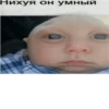 Нихуя он умный