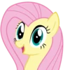 Fluttershy | 15