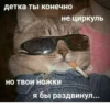 GOGOLMOGOL28 :: 10