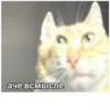 аче всмысле