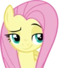 Fluttershy | 19