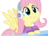 Fluttershy | 20