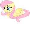 Fluttershy | 23