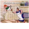 Пошёл на хуй, Пёс!