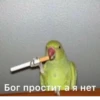 lol 22