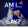 AM I... GAY?