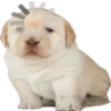 GYHUCTEVSZ_by_stikers_du_ark_bot 23