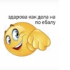 GOGOLMOGOL28 :: 23