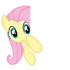 Fluttershy | 29