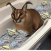 Big Boss Шлёпа 29