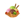 Food 23