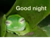 Frogs_Toads 5
