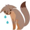Facebook Foxer 6