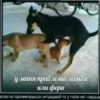 у миня праблема ламба или фера если не проникнешься ситуацией то у тебя нет сердца