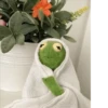 Kermit the frog 5