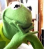 Kermit the frog 6