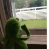 Kermit the frog 7
