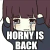 Ero anime 9