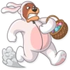 Easter Bear 13