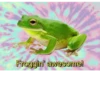 Frogs_Toads 10