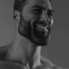 ♂️GYM♂️hub 13