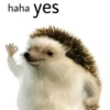 haha yes