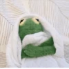 Kermit the frog 12