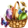 Flowers Time 7