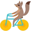 Facebook Foxer 17