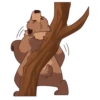 Grizzly Bears by Pulexart.com 6
