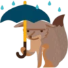 .?.