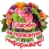 Спасибо за полезную (информацию