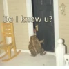 Frogs_Toads 14