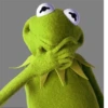 Kermit the frog 14