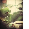 Kermit the frog 15