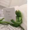 Kermit the frog 16