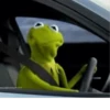 Kermit the frog 17