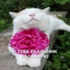 ECuMcEi_by_achestickbot 13