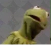 Kermit the frog 18