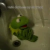 Kermit the frog 19