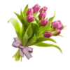 Flowers Time 8