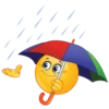 emoticon 19