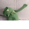 Kermit the frog 20