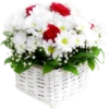 Flowers Time 10