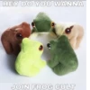 Frogs_Toads 20
