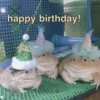 Frogs_Toads 21