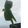 Kermit the frog 21