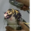 я не плачю это дощь HYPMIC HEHEHAHA